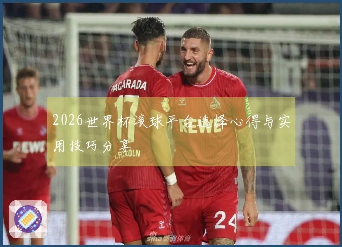 2026世界杯滚球平台选择心得与实用技巧分享