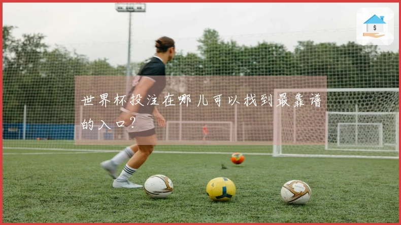 世界杯投注在哪儿可以找到最靠谱的入口？