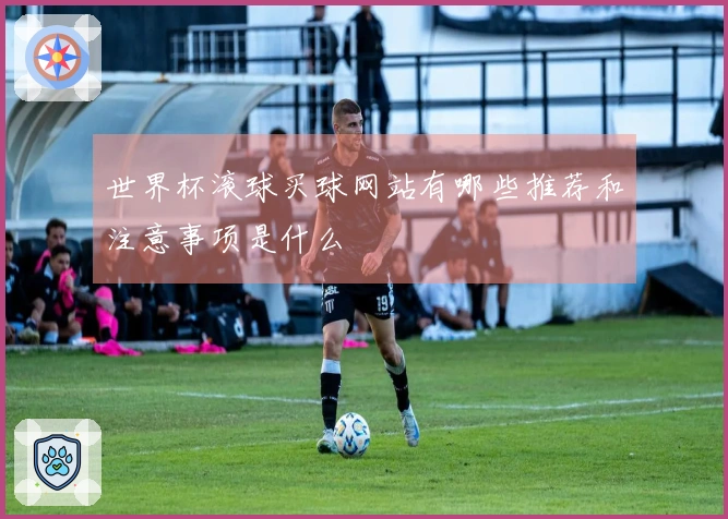 世界杯滚球买球网站有哪些推荐和注意事项是什么