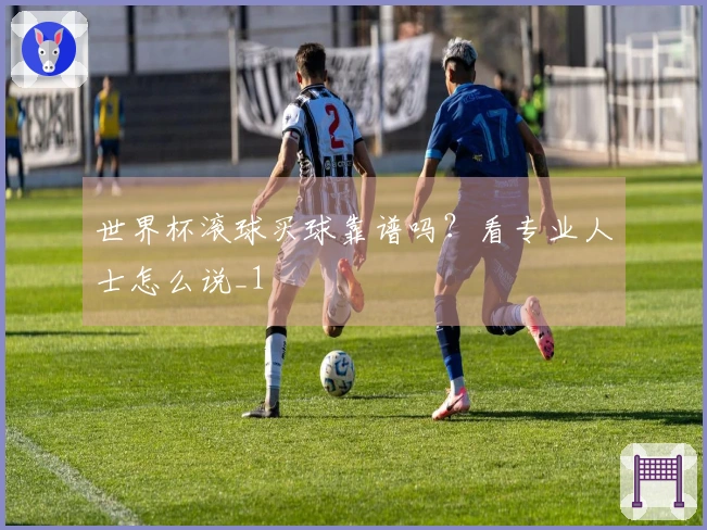世界杯滚球买球靠谱吗？看专业人士怎么说_1