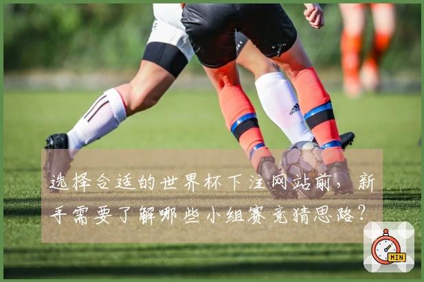 选择合适的世界杯下注网站前，新手需要了解哪些小组赛竞猜思路？