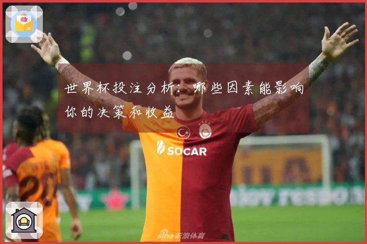 世界杯投注分析：哪些因素能影响你的决策和收益