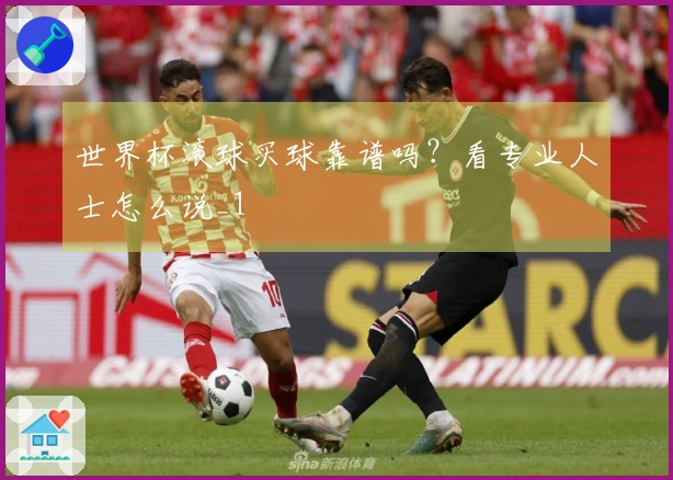 世界杯滚球买球靠谱吗？看专业人士怎么说_1