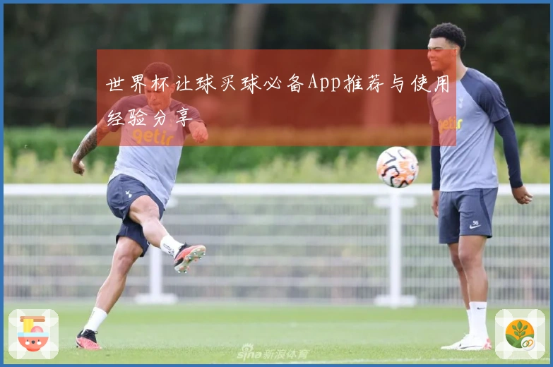 世界杯让球买球必备App推荐与使用经验分享