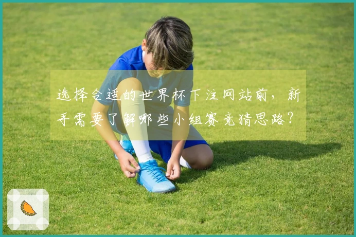 选择合适的世界杯下注网站前，新手需要了解哪些小组赛竞猜思路？
