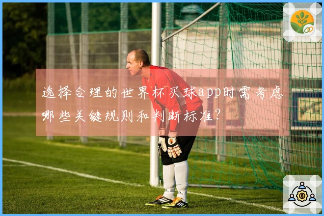 选择合理的世界杯买球app时需考虑哪些关键规则和判断标准？