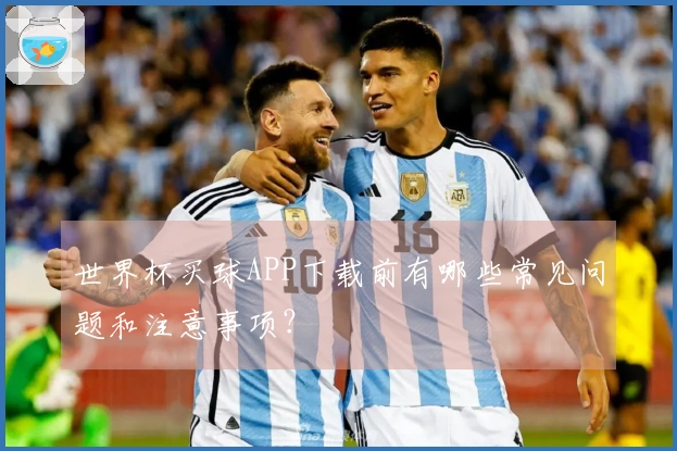 世界杯买球APP下载前有哪些常见问题和注意事项？