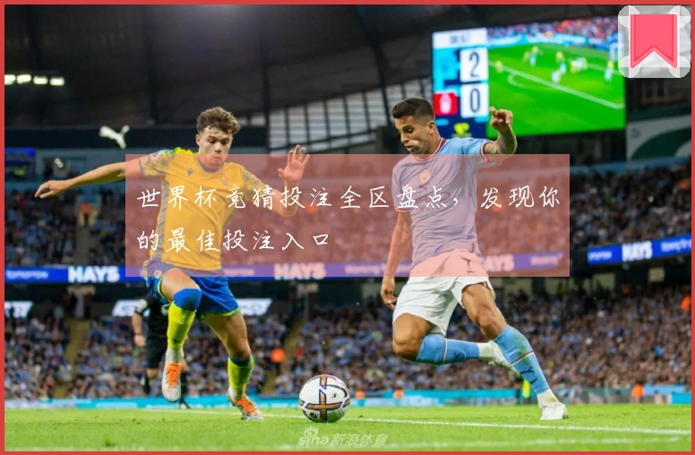 世界杯竞猜投注全区盘点，发现你的最佳投注入口