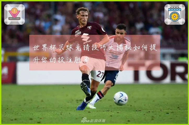 世界杯买球竞猜技巧大揭秘如何提升你的投注胜率