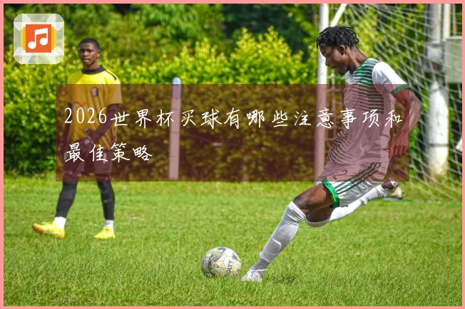 2026世界杯买球有哪些注意事项和最佳策略