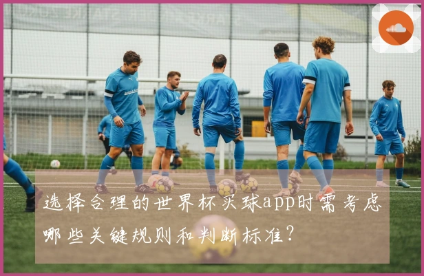 选择合理的世界杯买球app时需考虑哪些关键规则和判断标准？